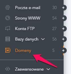 Jak zlecić odnowienie ważności domeny? 1 sekcja domen