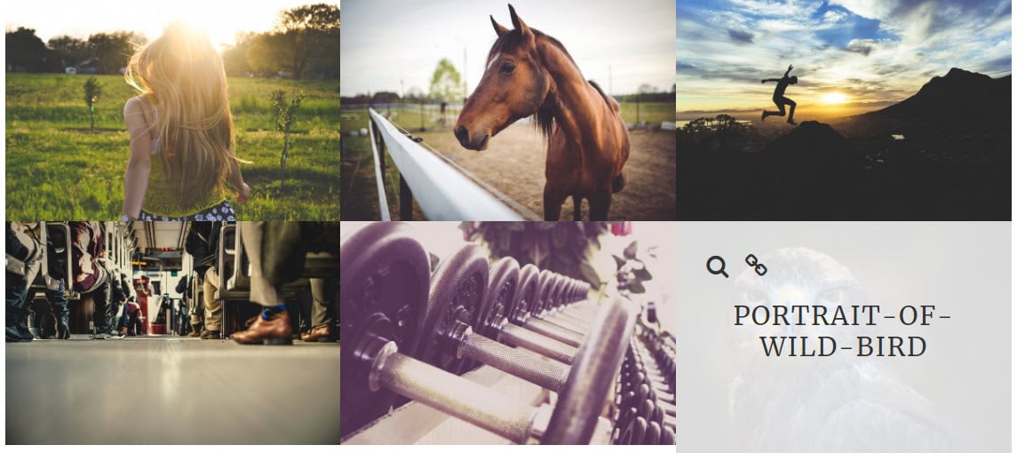 Galerie WordPress: Everest Gallery Lite 1 Everest Gallery Lite grid layout