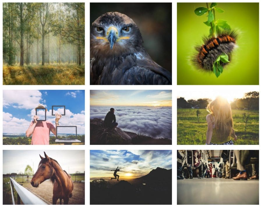 Galerie WordPress: Jetpack 1 Jetpack galeria
