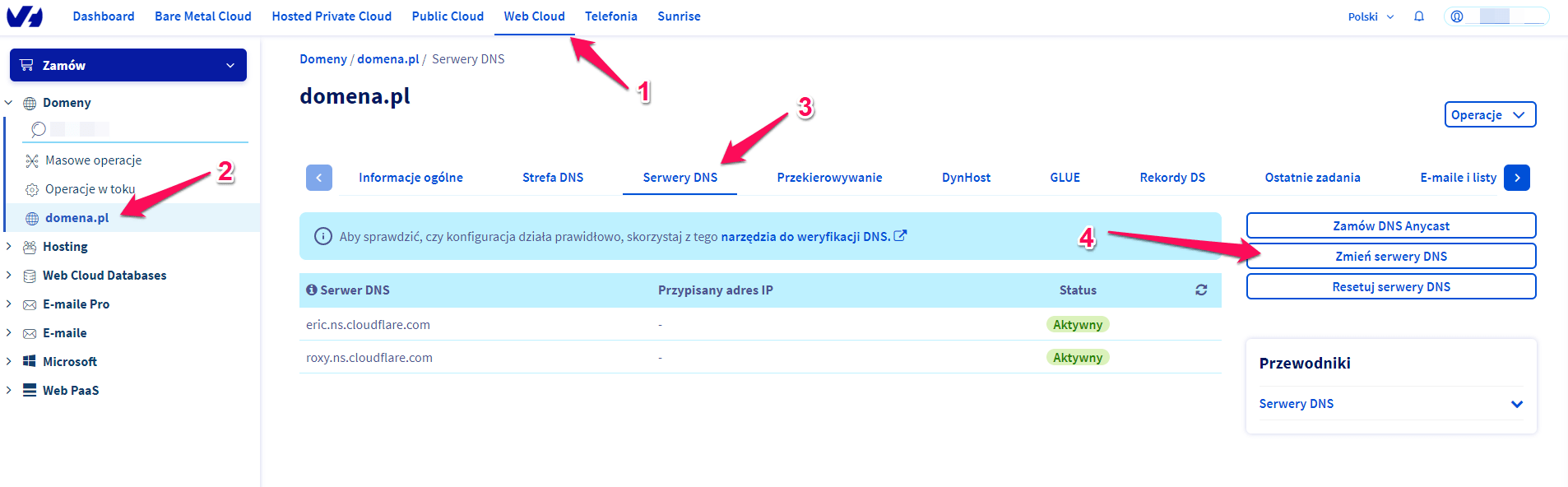 Jak zmienić DNS domeny zrejestrowanej w OVH.pl 1 ovh domena